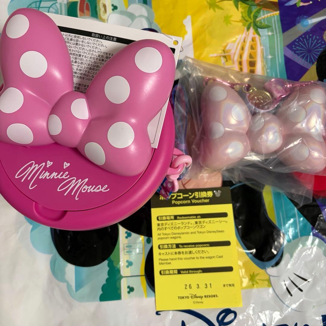 ディズニーランド ミニー パルパルーザ ポップコーンバケット スナック