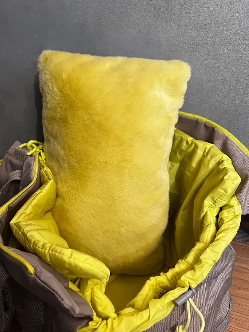 《 韓国 arrr 》 humming bag 犬用キャリーバッグ