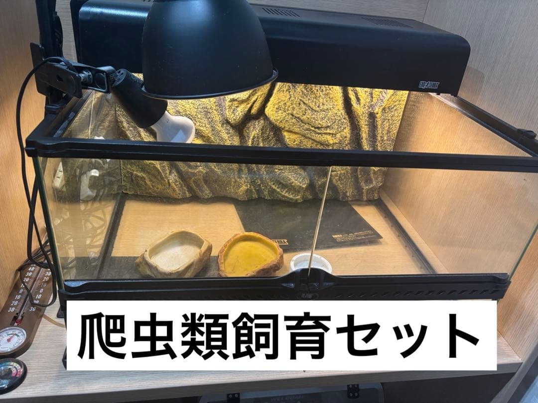 中古 爬虫類飼育セット 手渡しのみ 爬虫類飼育セット