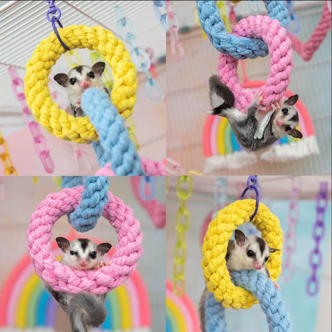 《ラスト１点》 アクリル ケージ 360度 小動物 鳥 モモンガ ドーナツ綱