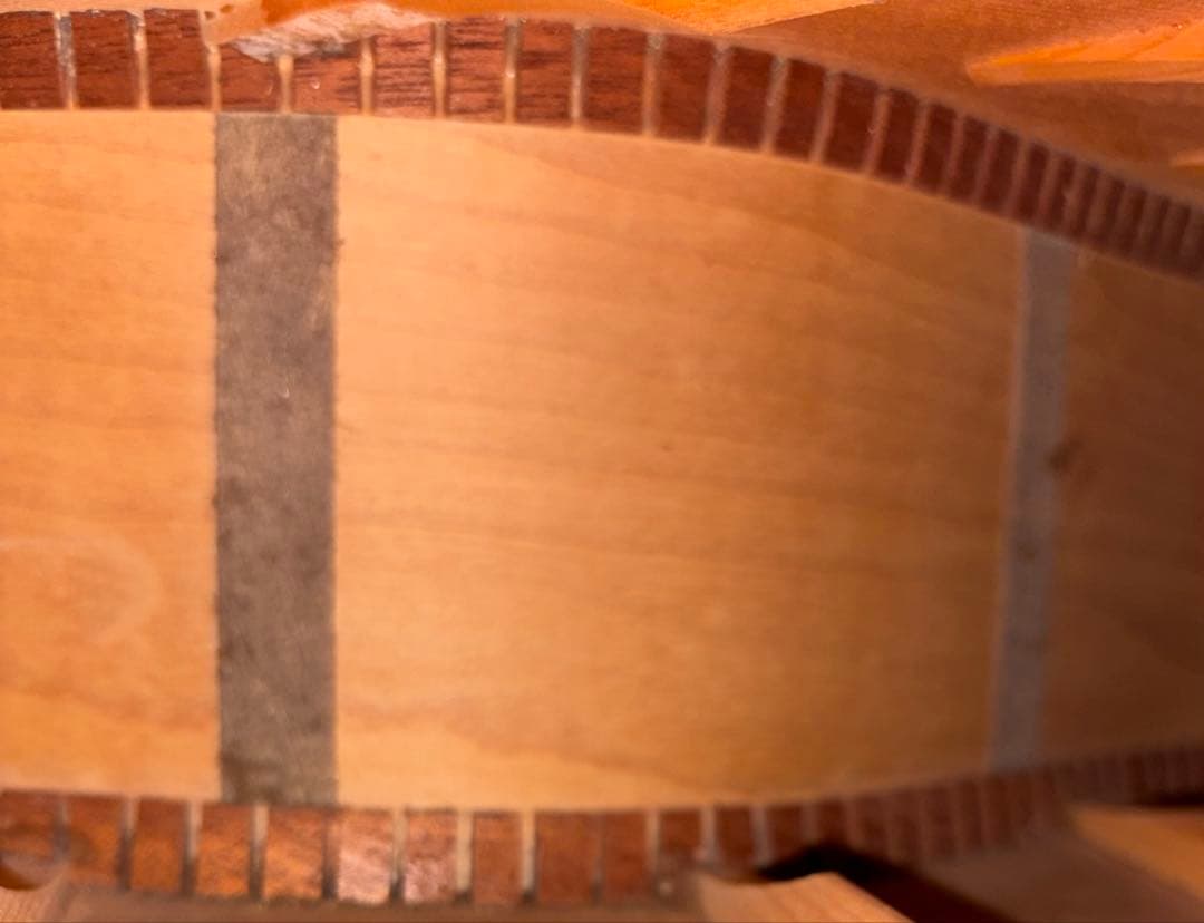 Morris MG-80オール単板 ジャパンビンテージ Morris MG-80オール単板