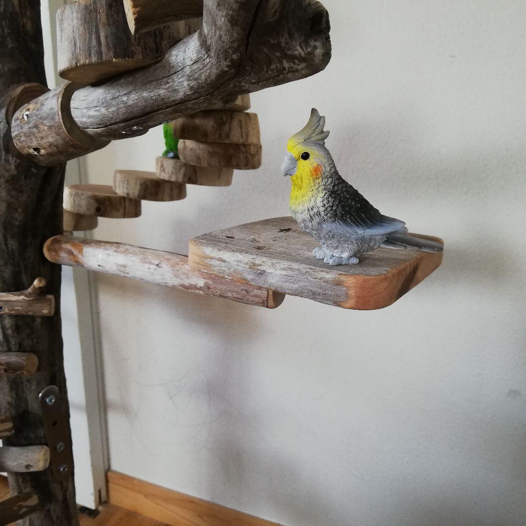 バードアスレチックジム大型 ㊲ 天然木 自然木 止まり木 インコ おもちゃ