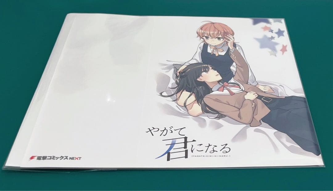 激レア】 やがて君になる 仲谷鳰 ブックカバー 特典限定品 百合 漫画 希少