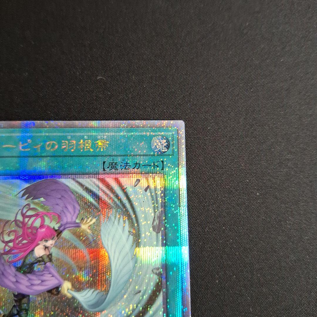 遊戯王　ハーピィの羽根帚　25thシク　絵違い