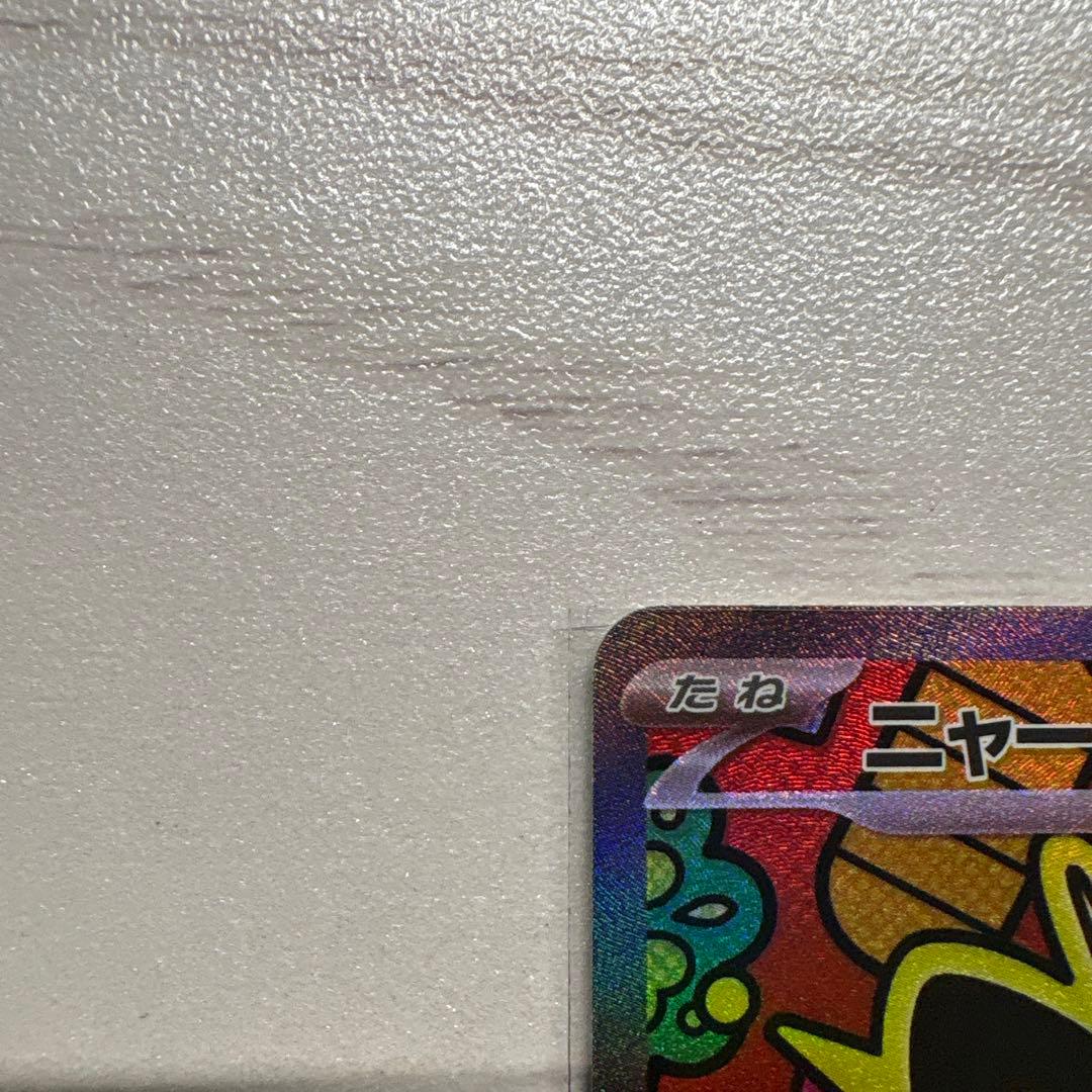 ニャースSAR