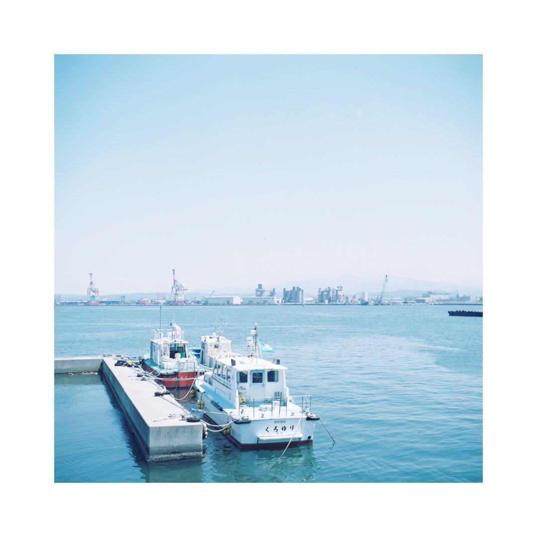 ⌘動作確認済み！ 作例あり！ 二眼レフ 海鴎 シーガル 4A-103⌘ - メルカリ