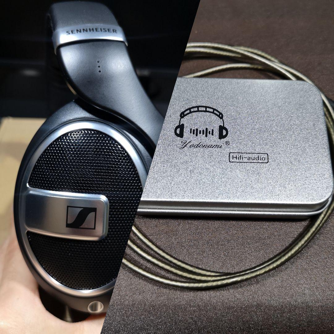 HD599 SE + バランスケーブル（4.4mm-2.5mm）