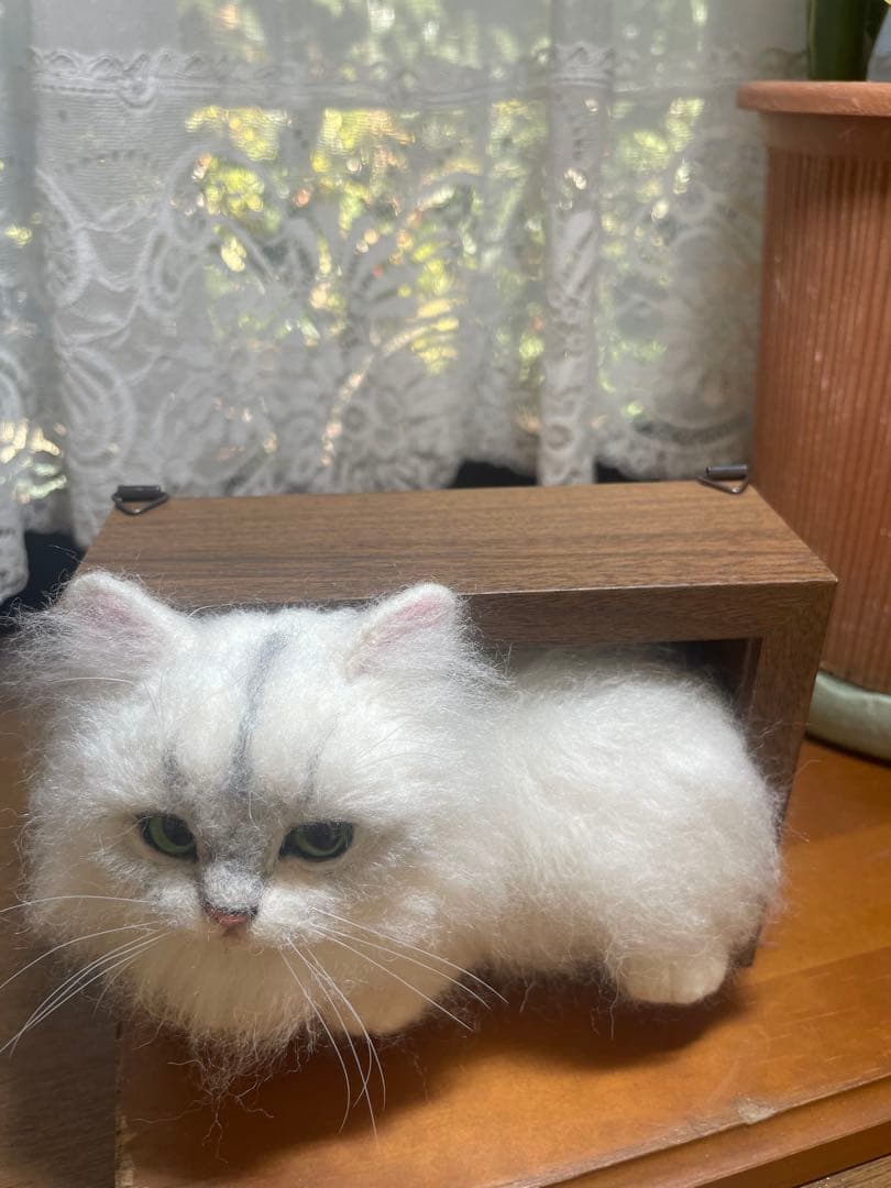 羊毛フェルト 猫 チンチラシルバーちゃんBOX型フレーム - メルカリ