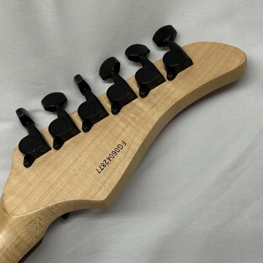 フェルナンデス FERNANDES FGシリーズ エレキギター ストラトタイプ♪