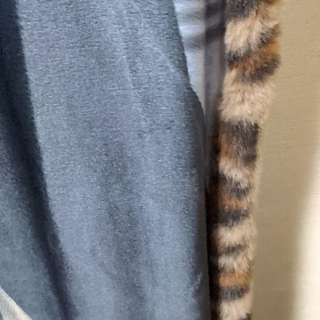 櫻井敦司　ブランケット