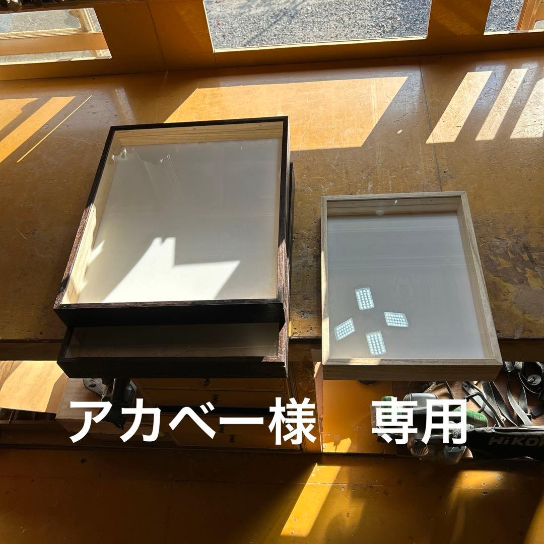 大　中標本箱　3箱 ドイツ箱マグネットコレクション – ネイチャーテクニカラー公式