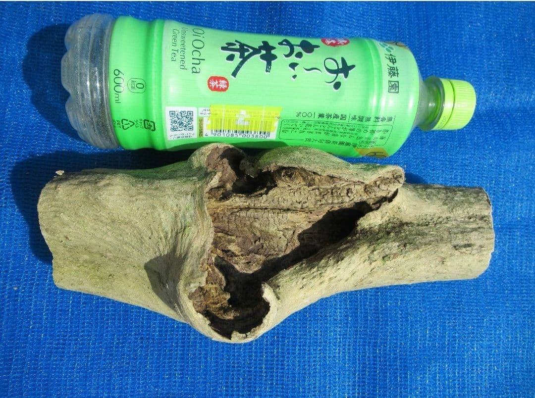 しょーきちページ