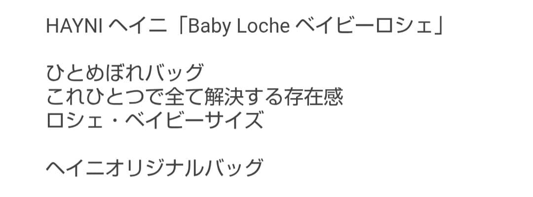ヘイニ　ベイビーロシェ　ショルダーバッグ　本革　袋付　最終価格　値下げ済