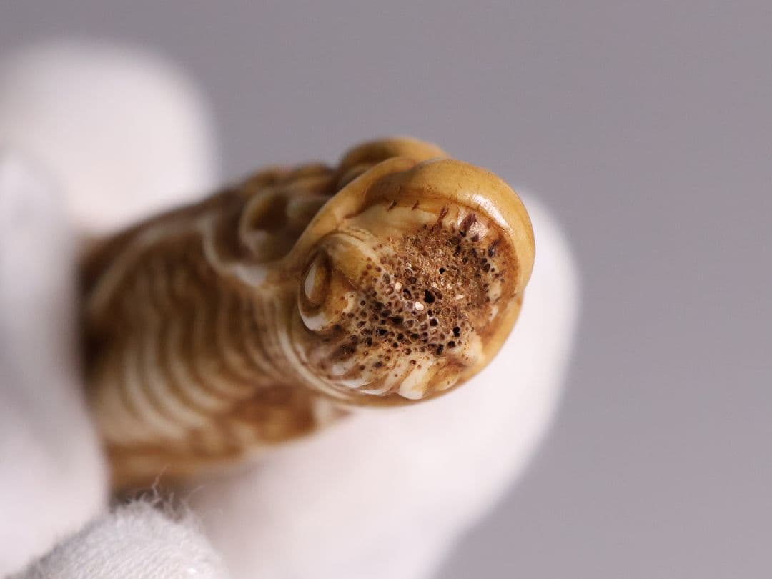 時代 堤物 根付 置物 鹿角 麒麟 全長7.6cm 神獣 彫刻【CM258】 - メルカリ