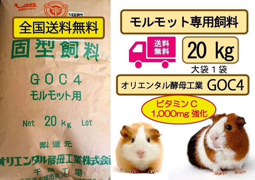 オリエンタル酵母 GOC4 モルモット飼育繁殖用 ウサギ・モルモット用飼料 | バイオ事業 | オリエンタル酵母工業株式会社