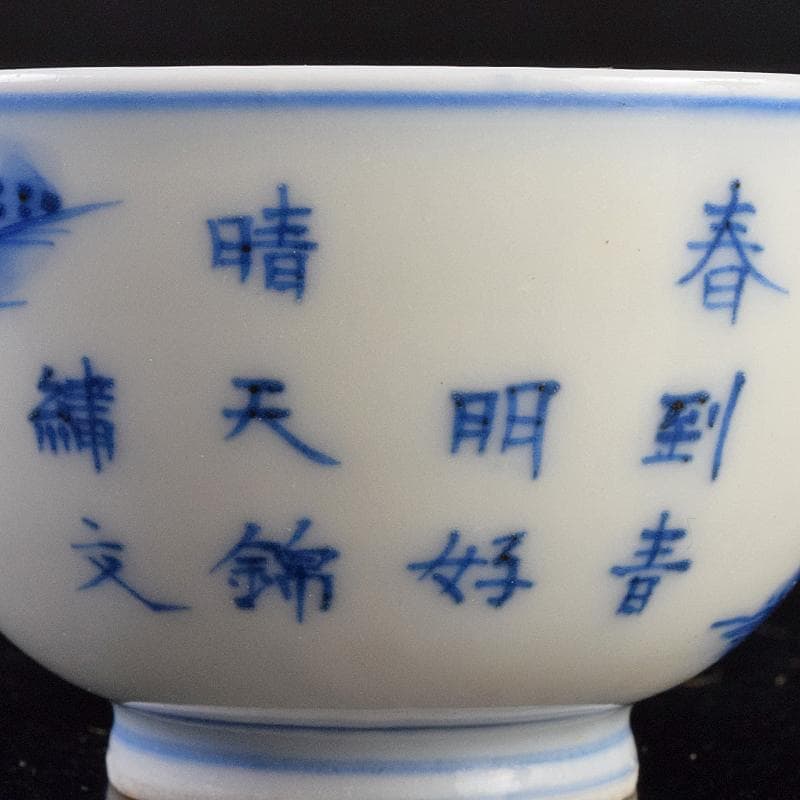 中国 青花 漢詩山水人物文 煎茶碗 時代箱付 V R9489