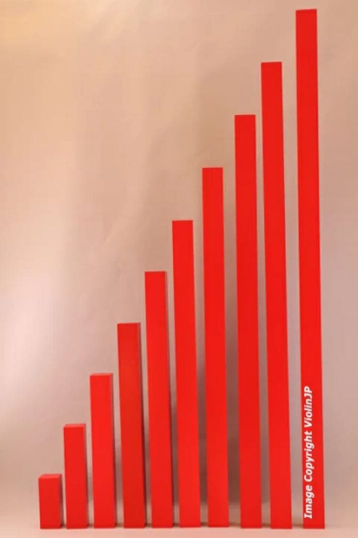 モンテッソーリ　赤い棒 ♪大1m♪　Montessori Red Rods