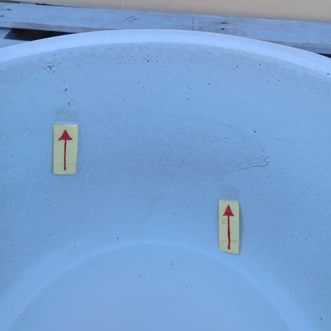 豆助様専用 ∅42 2個セット 陶器睡蓮鉢 メダカ鉢 難有