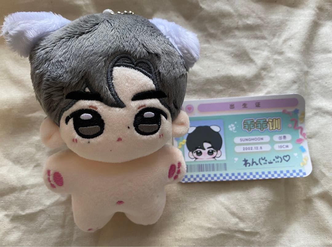 ENHYPEN ソンフン ぬいぐるみ 10cm 洋服付き ENHYPEN 10cm k-pop