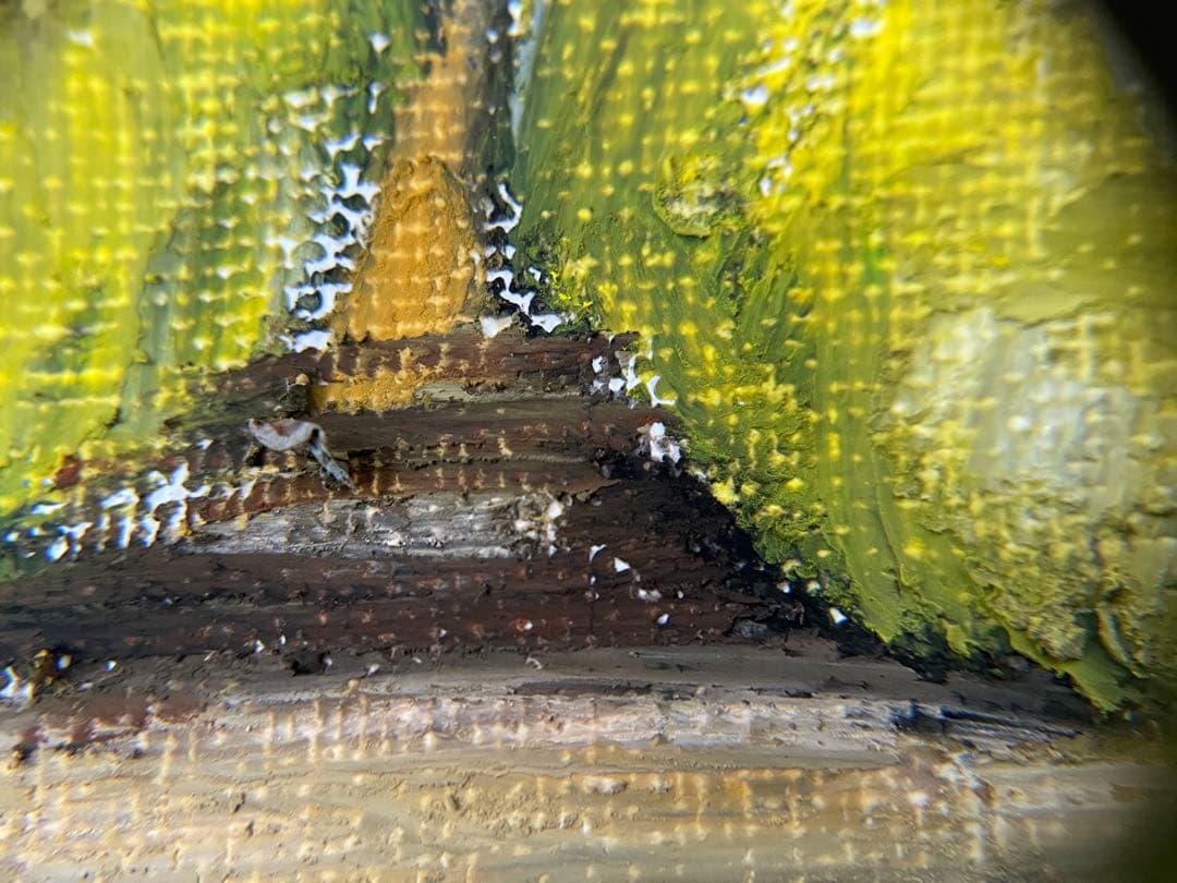 静かな実り｜柚子の小品原画（2025）