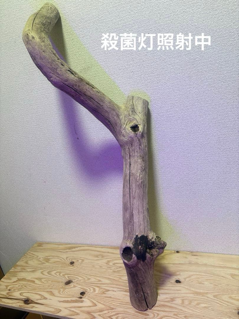 G39 流木 爬虫類 両生類 小動物シェルター DIY ハンドメイド 観葉植物