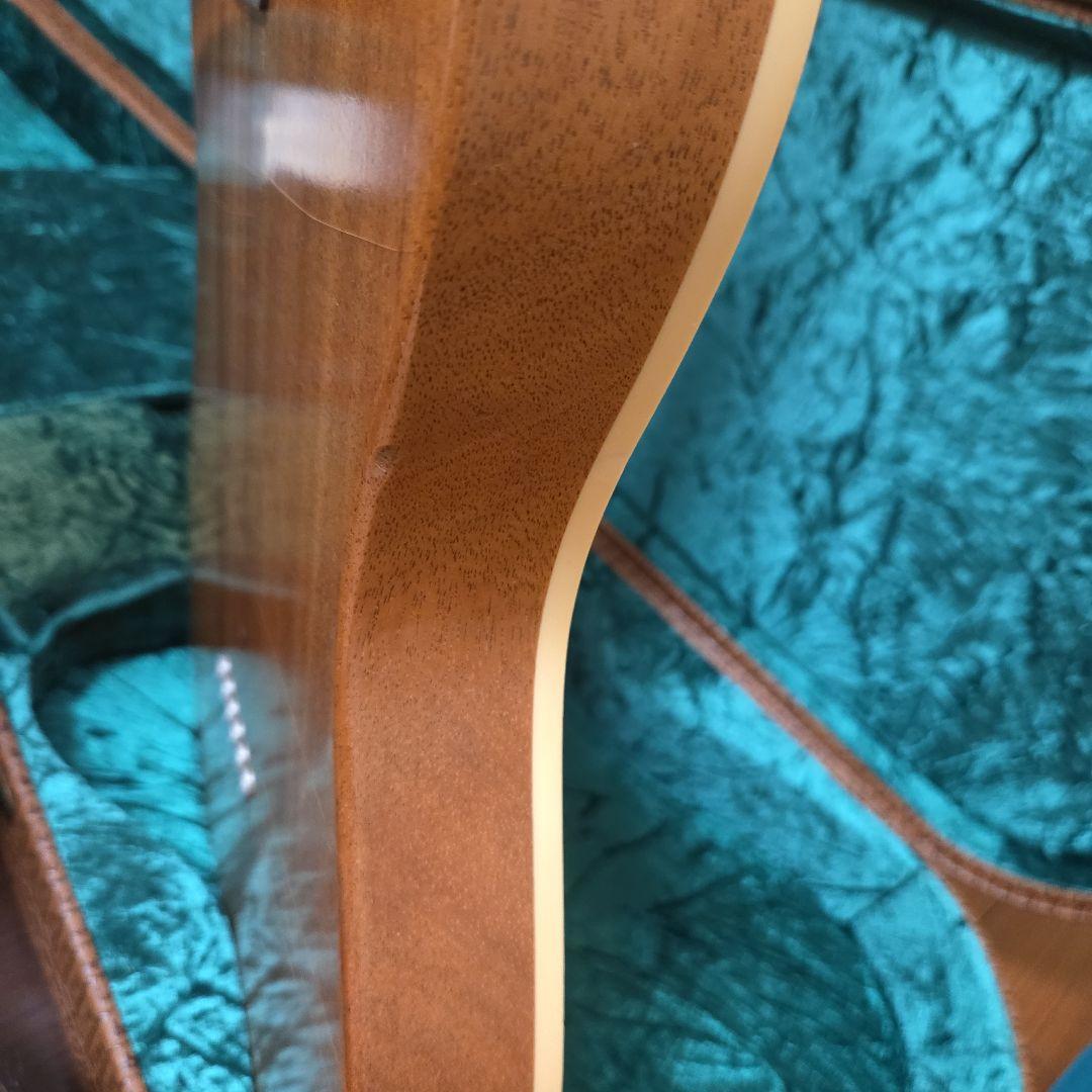 Nashguitars エレキギター