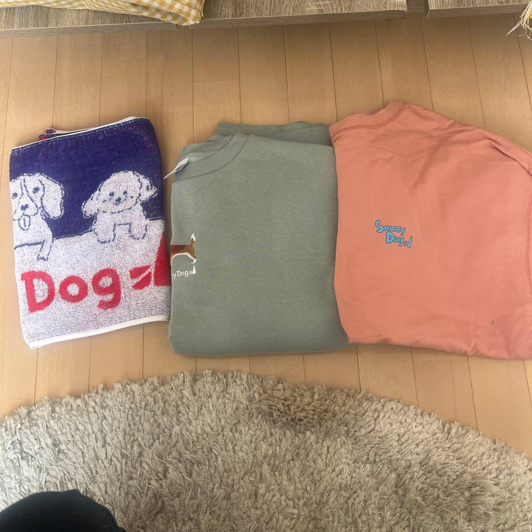saucy dog タオル、パーカー、ロンT saucy dog タオル、パーカー、ロンT 商品一覧ページ | Saucy Dog