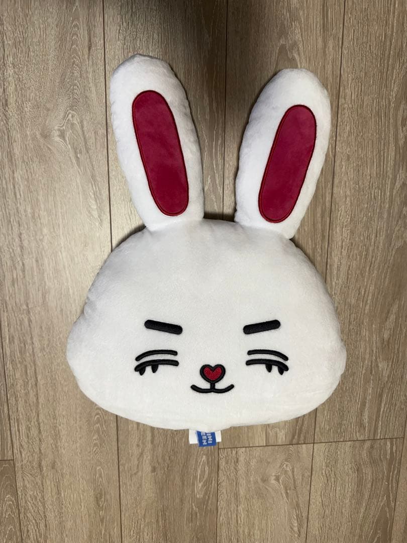 SEVENTEEN miniteen フェイスクッション エスクプス セブチ