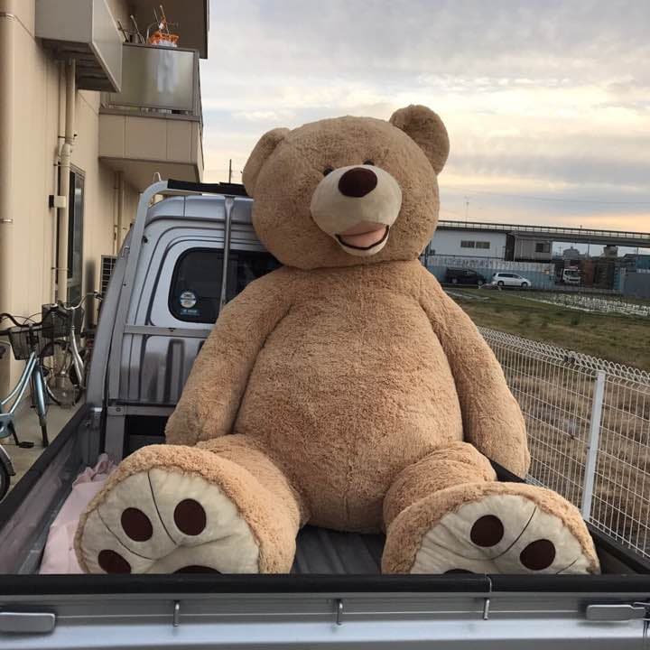 デカクマ Salomon Men's DRX DEFY GRVL Road Running Shoes - Black/Cherry