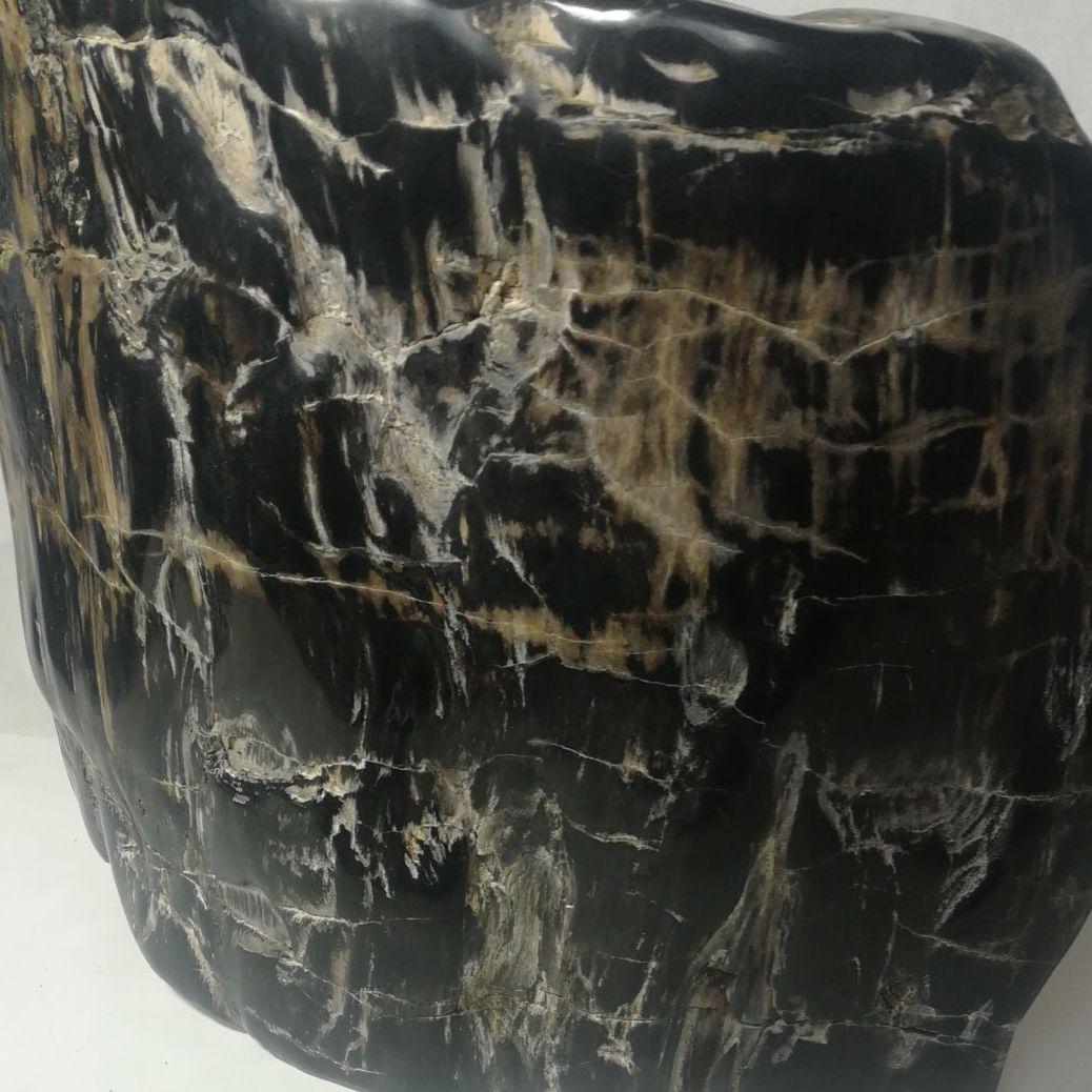 木化石 置物 鑑賞石 台座付