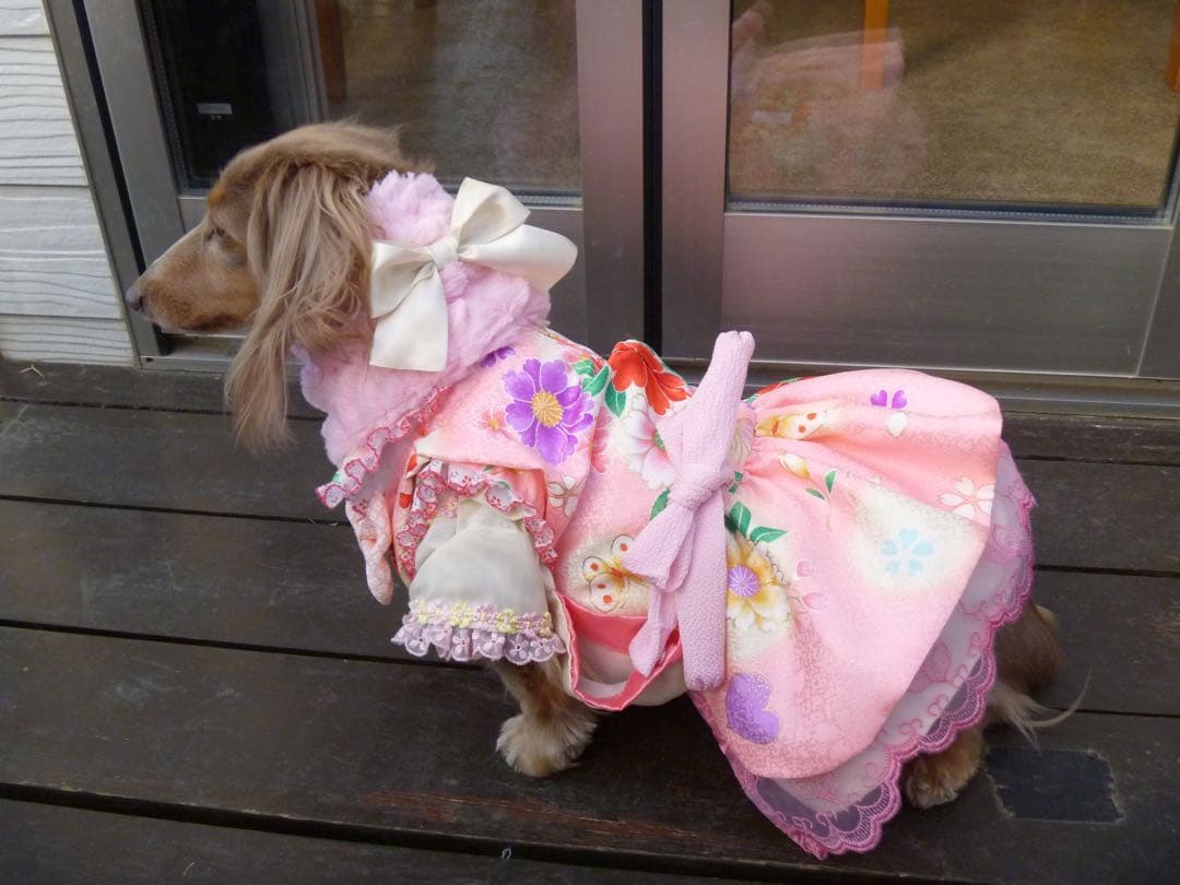 B404.pon2pan2☆オーダー☆犬お着物☆犬2ウェイお着物