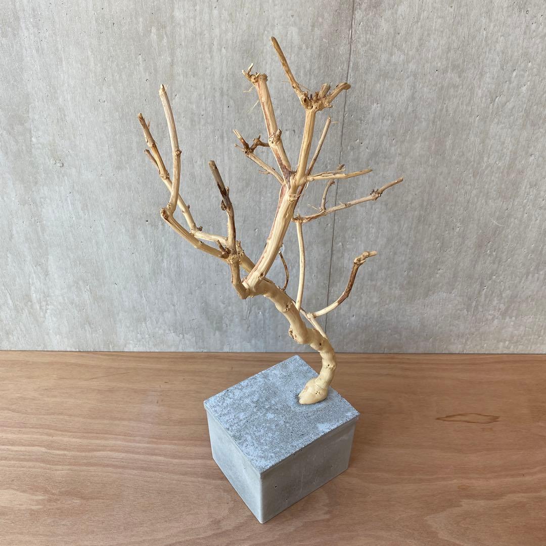 コンクリート盆栽 流木オブジェ】 アート アクセサリー インテリア