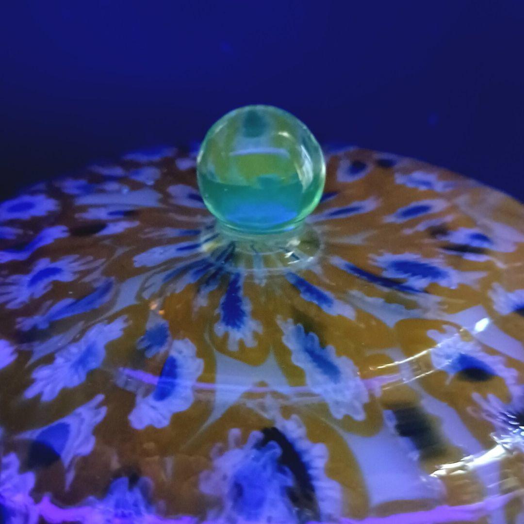 MURANO GLASS 蓋物 イエロー ミルフィオリ お碗