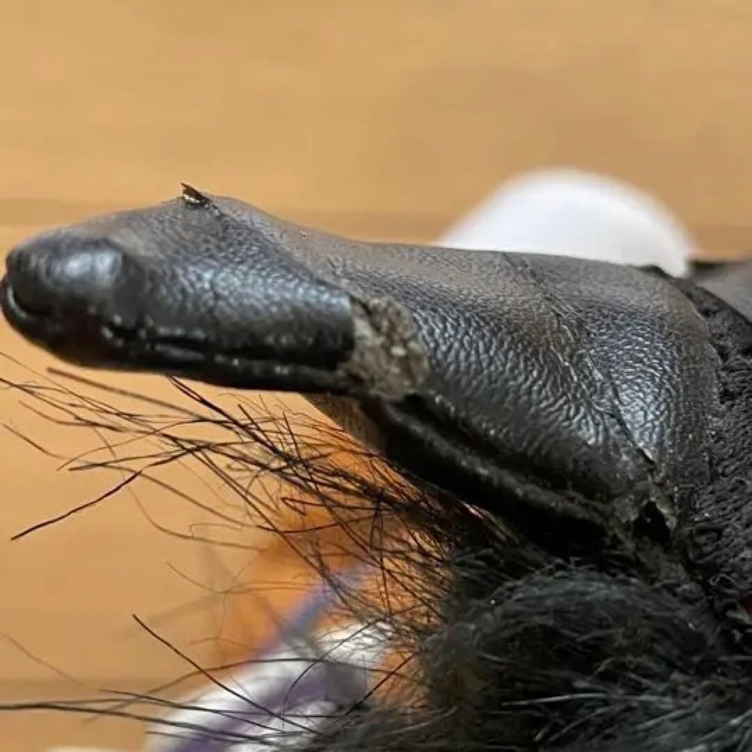 【ジェンティルドンナ/2014 DUBAI SHEEMA CLASSIC】