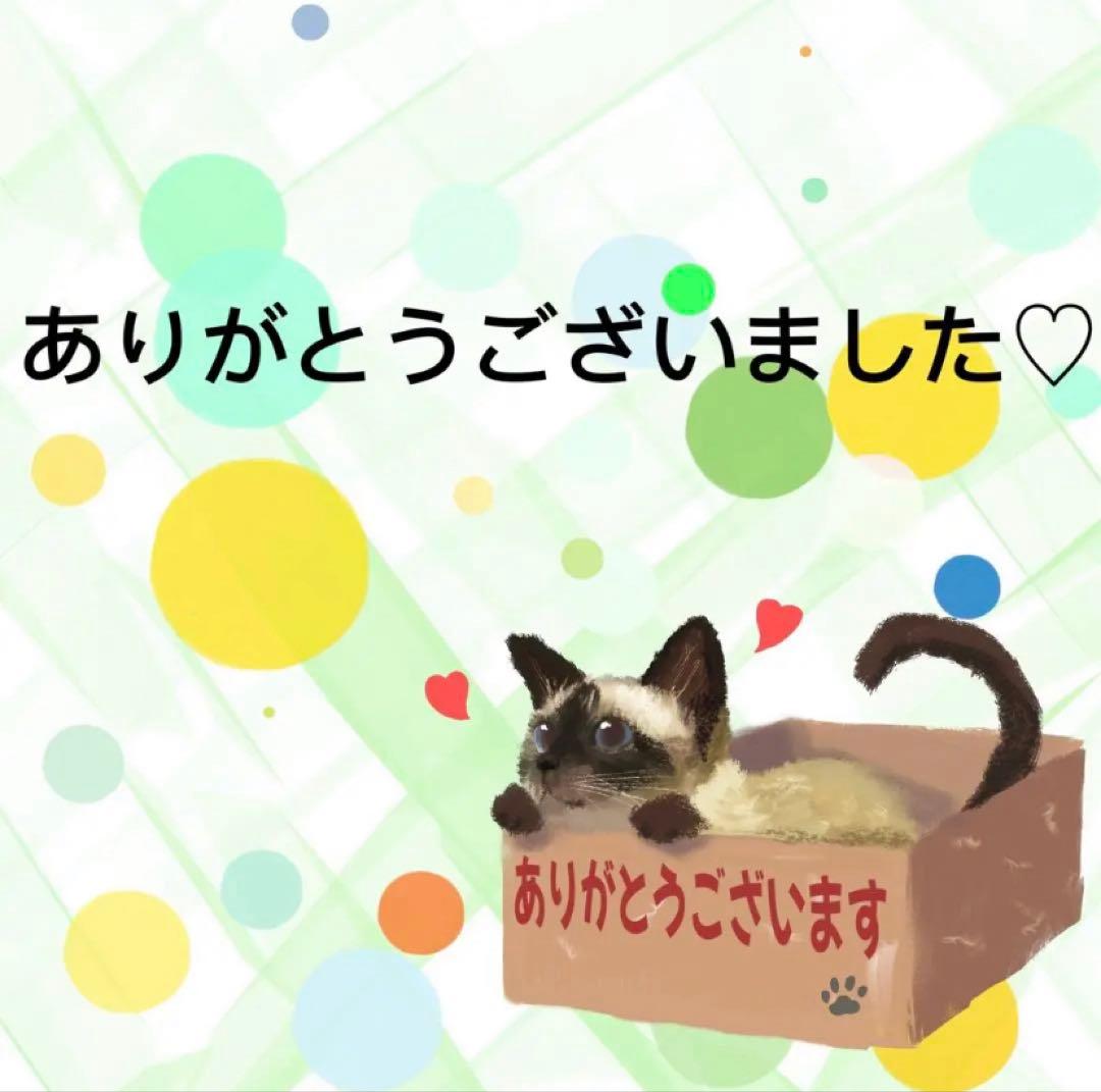 8062】海外マステ4.2m/巻売り貝殻光マスキングテープ人物系