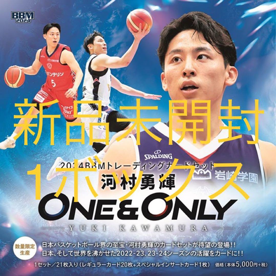 匿名配送】ユニゾンインディーズ時代のチラシ10点