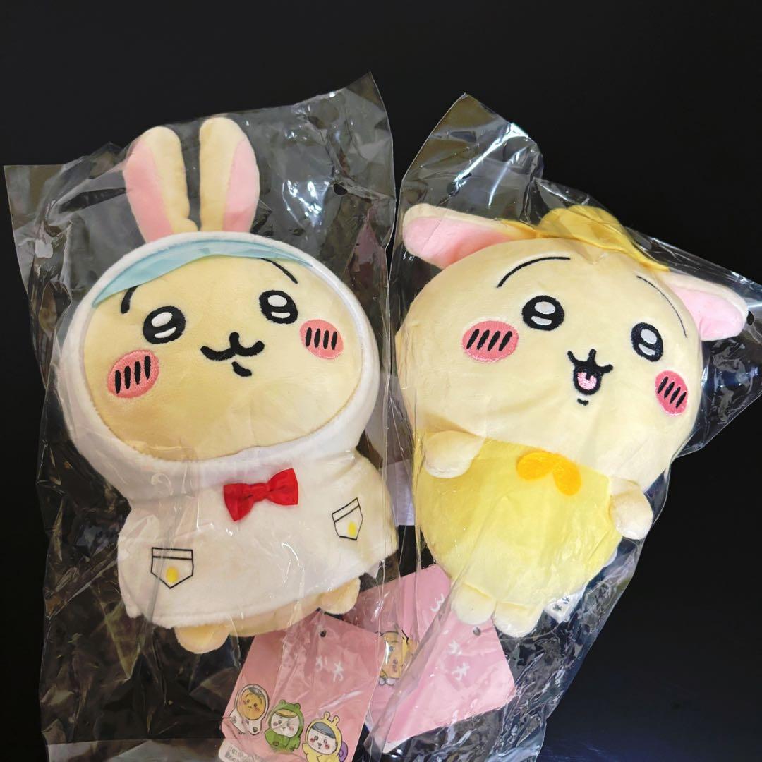 サイズの参考に！腹巻きのトイプードル 羊毛フェルト