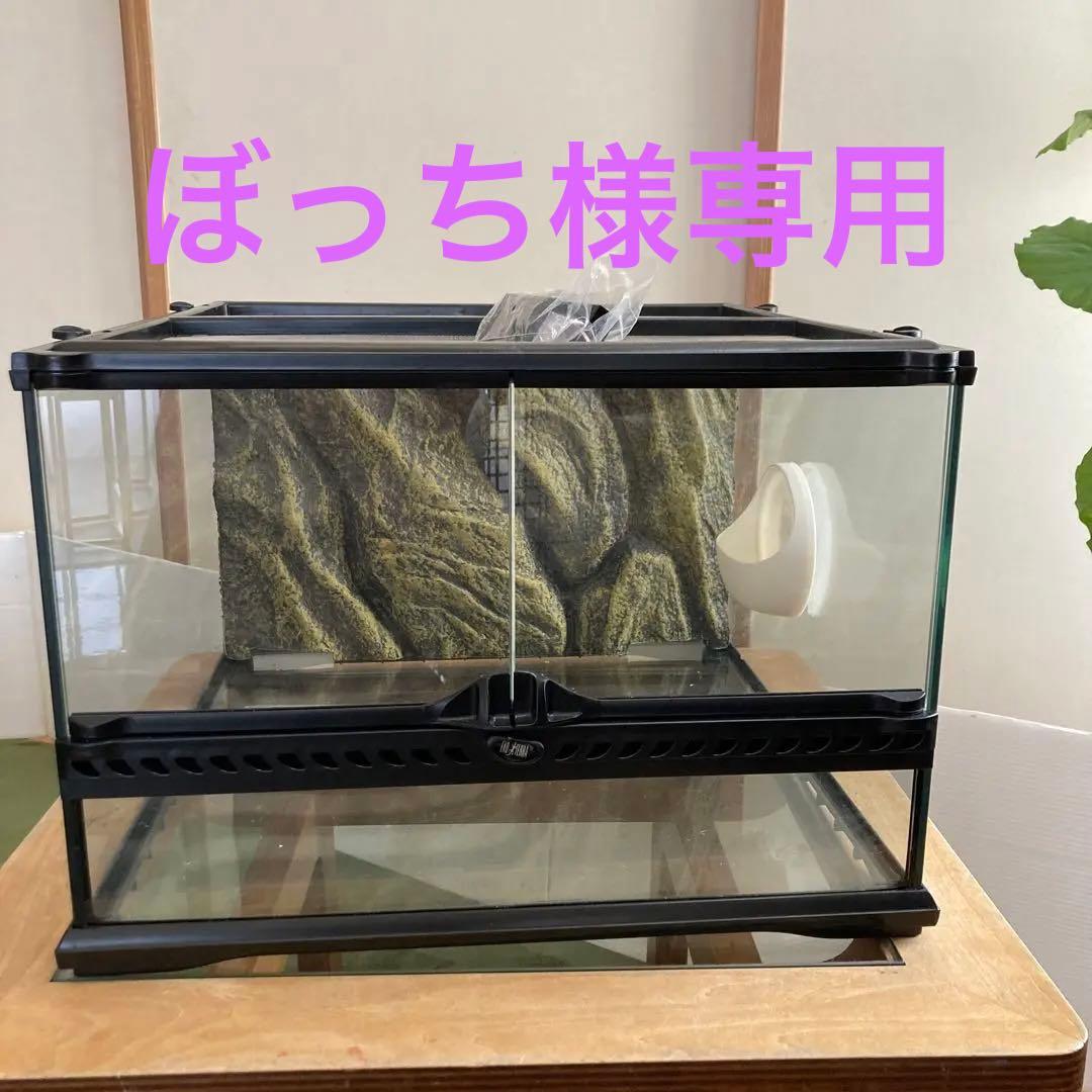 グラステラリウム4530 PT2603 | ジェックス株式会社 エキゾテラ グラス