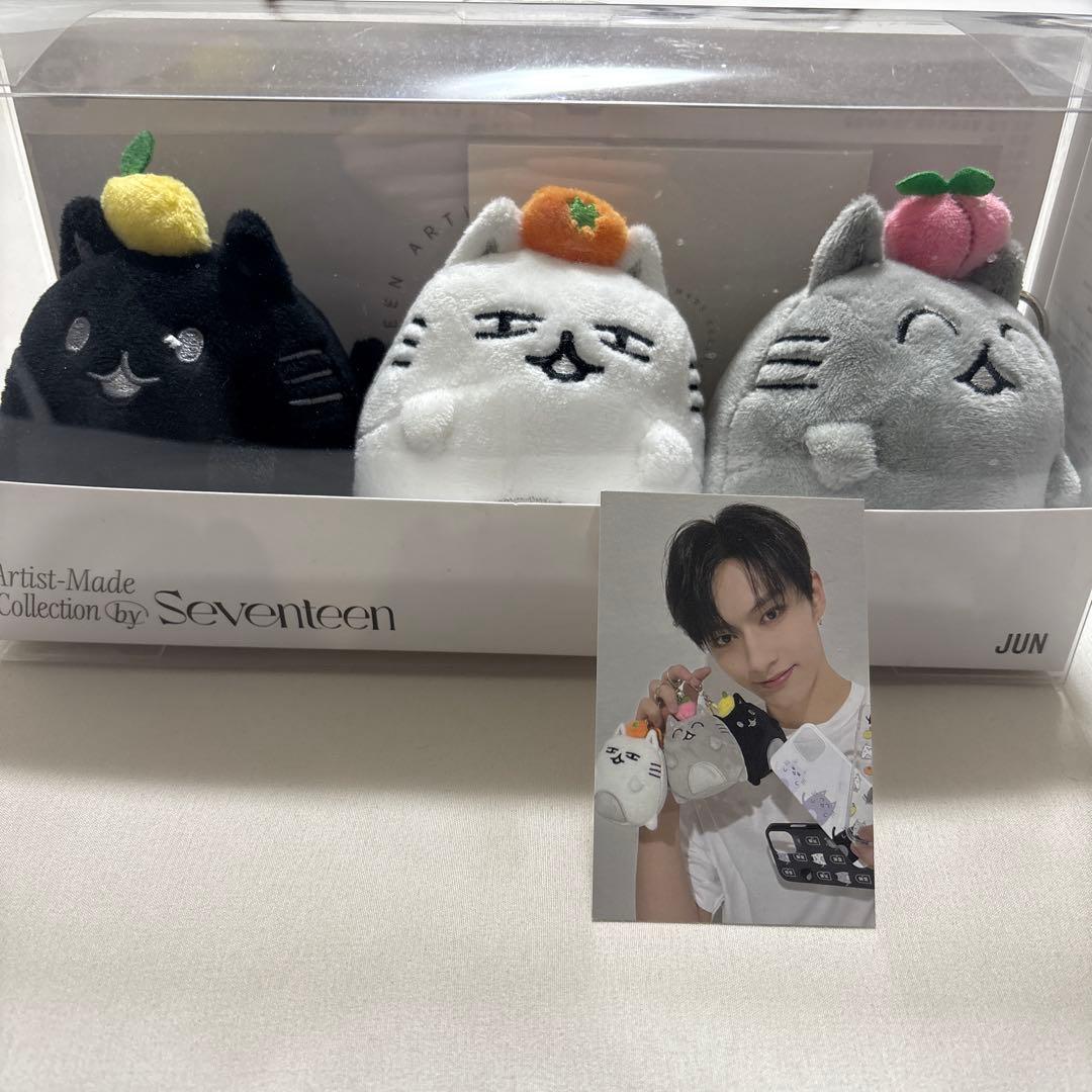 SEVENTEEN JUN アーティストメイドぬいぐるみセット