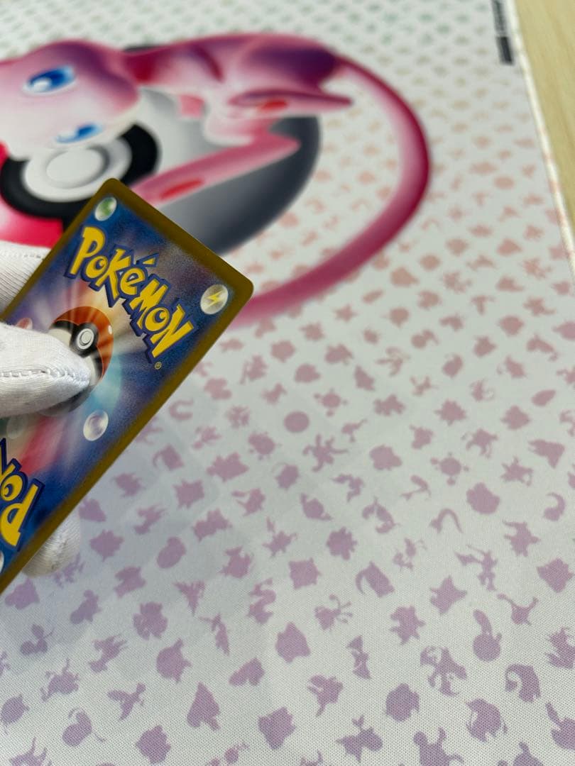 テラスタルフェス　ブイズsar8種セット