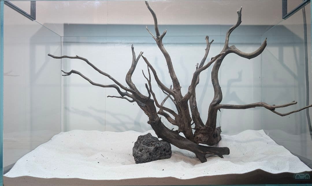 レイアウトセット【LSB010】 スマトラブランチウッド 水槽 まとめ買い