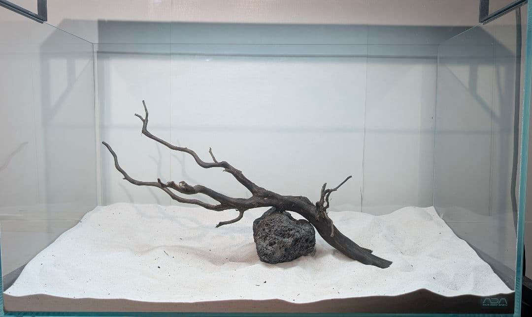 レイアウトセット【LSB010】 スマトラブランチウッド 水槽 まとめ買い