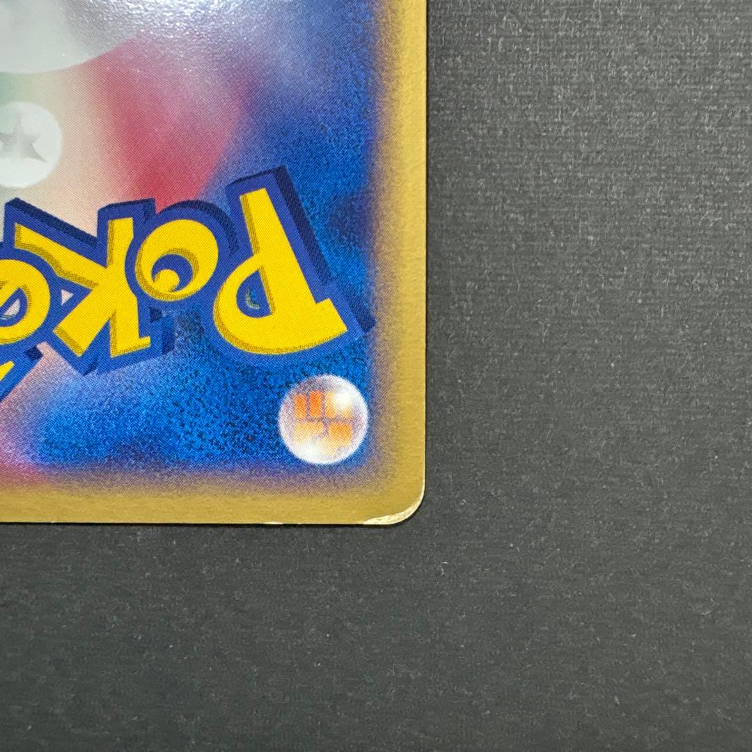 ポケパークのピカチュウ （004/009）