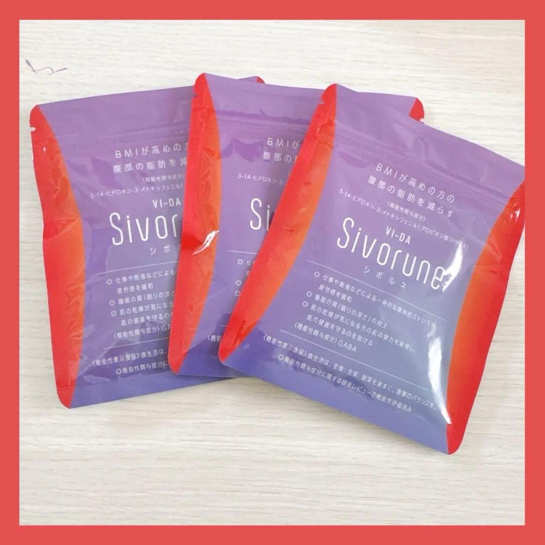 茶道具 龍文堂松寿千筆鉄瓶