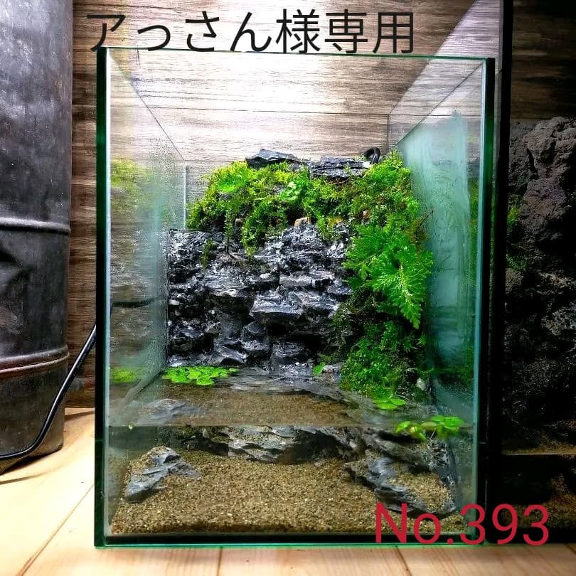 アクアテラリウム完成品】滝のあるテラリウム パルダリウム アクアリウム