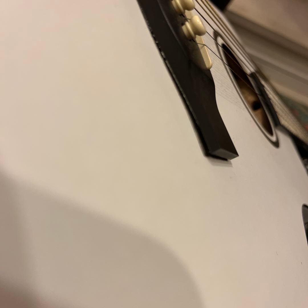 Martin & Co. LX White ミニアコースティックギター Martin & Co lxm