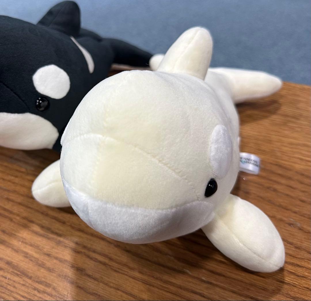 名古屋港水族館オリジナル ぬいぐるみくじ 3等 白シャチ 2匹セット