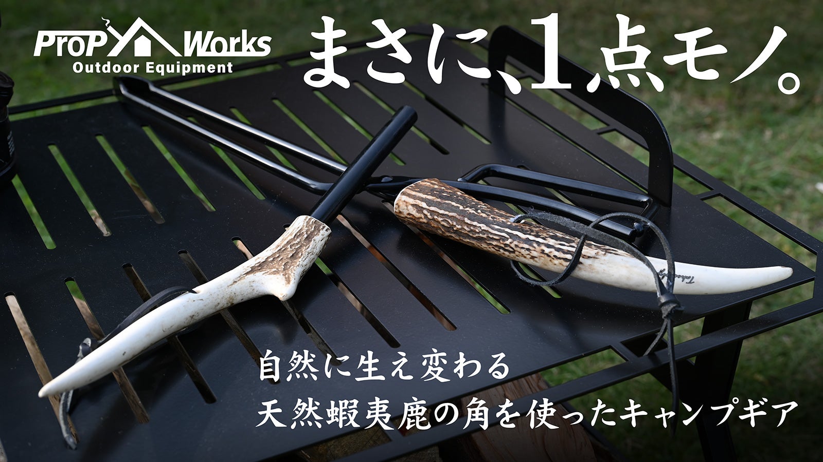 ファッション 鹿の角8対 16本セット 鹿の角8対 16本セット 鹿の角8対